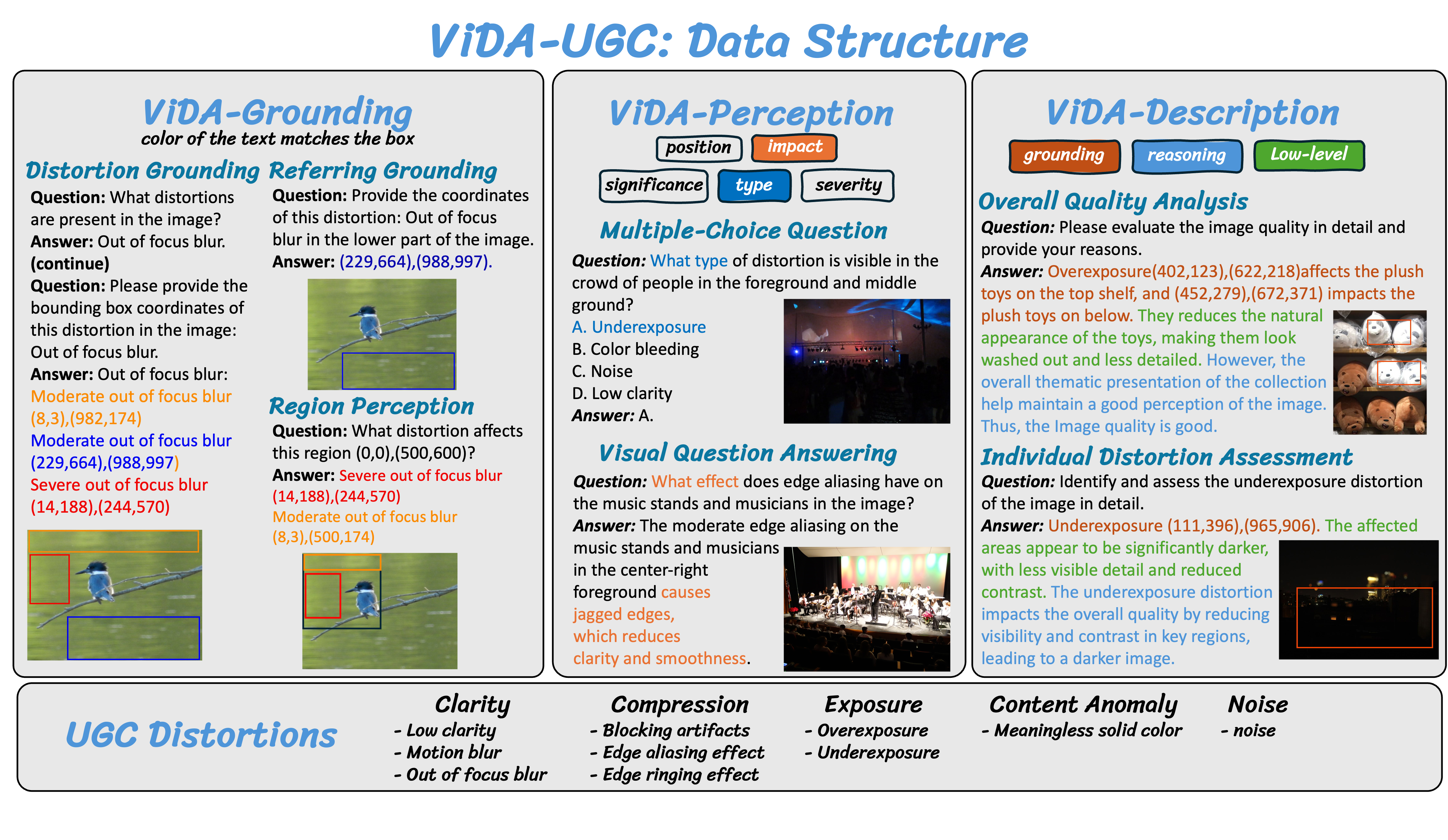 ViDA-UGC Data Structure